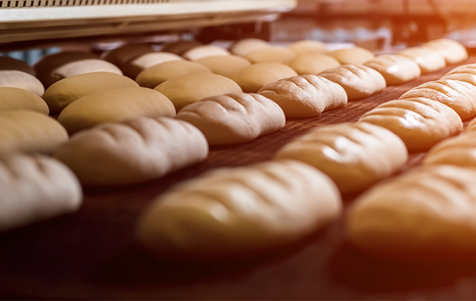 Bakery Bread on Industrial Belting